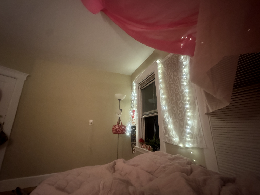 $800/month. Spring 2026 sublet needed! - Image 4