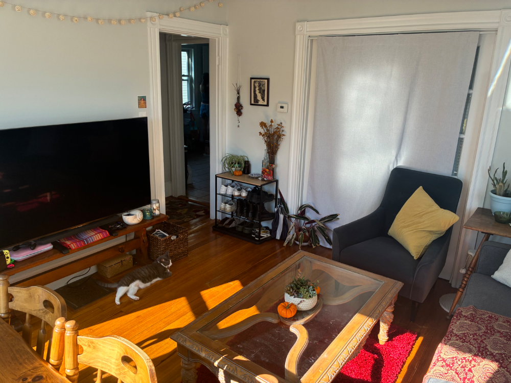 Spacious Bedroom in Newly Renovated House - Thumbnail 6