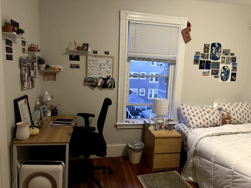 69 Raymond Ave. Single Bedroom Spring/Summer Sublet 2026, Fully Furnished with Attached Porch  - Thumbnail 15