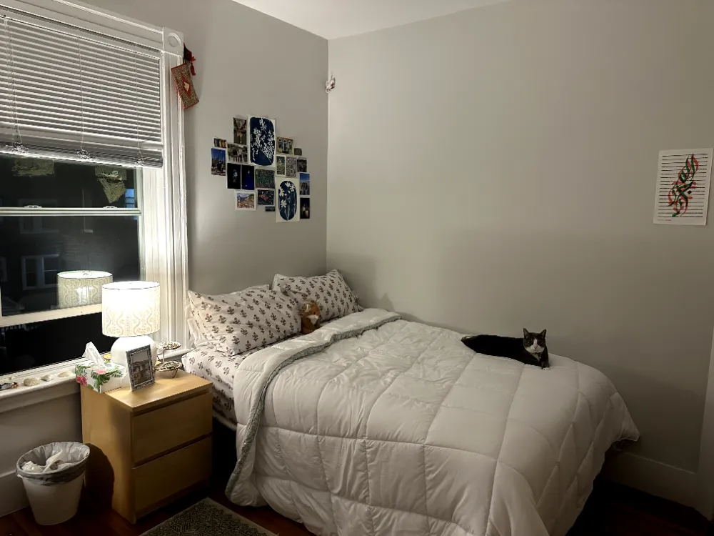 69 Raymond Ave. Single Bedroom Spring/Summer Sublet 2026, Fully Furnished with Attached Porch  - Thumbnail 18