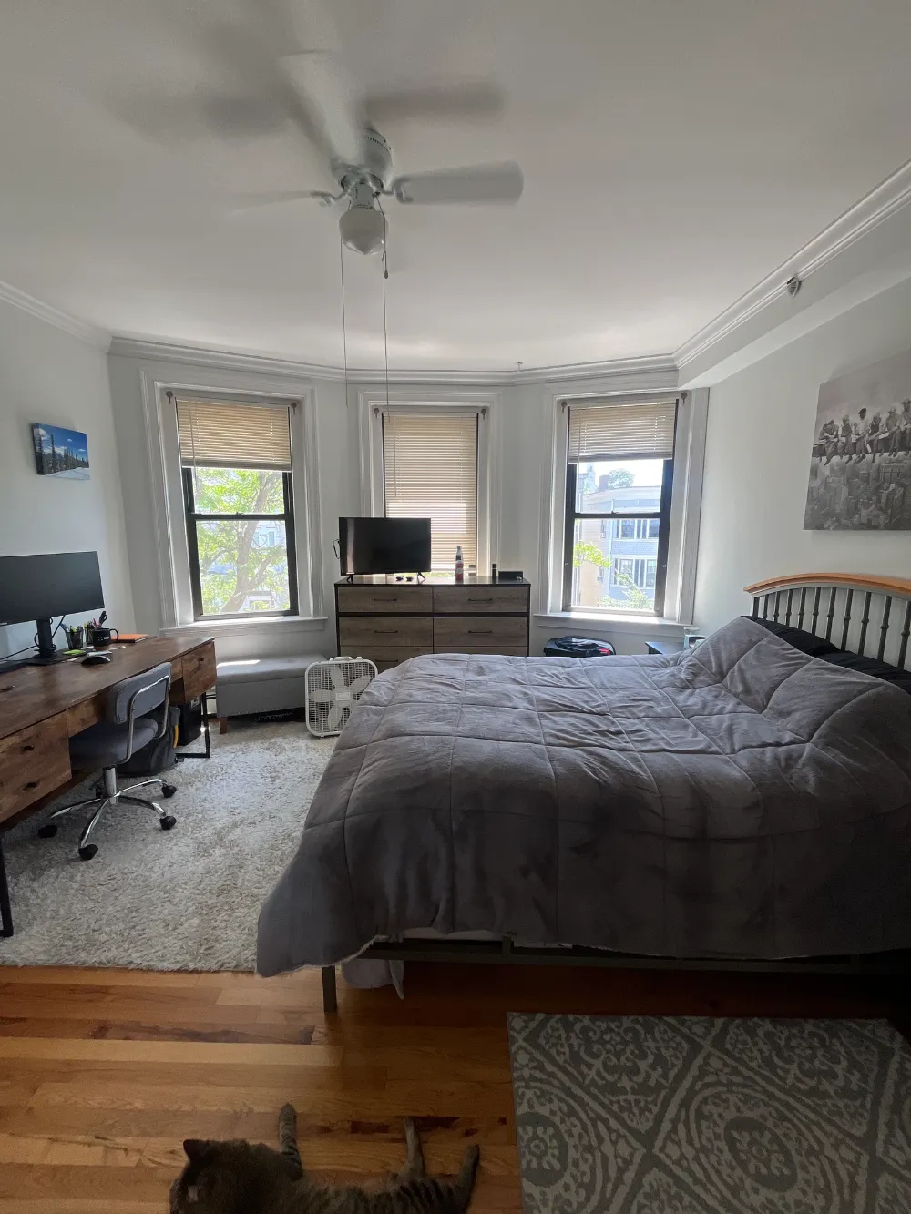 Room Available for Sublease in South Boston!  - Thumbnail 7