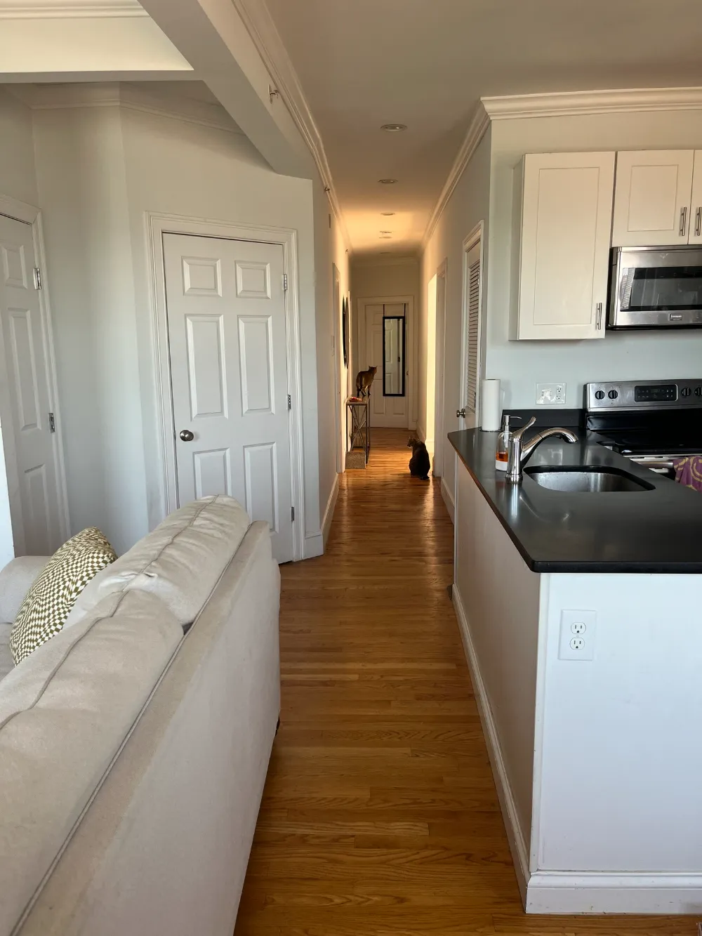 Room Available for Sublease in South Boston!  - Thumbnail 8
