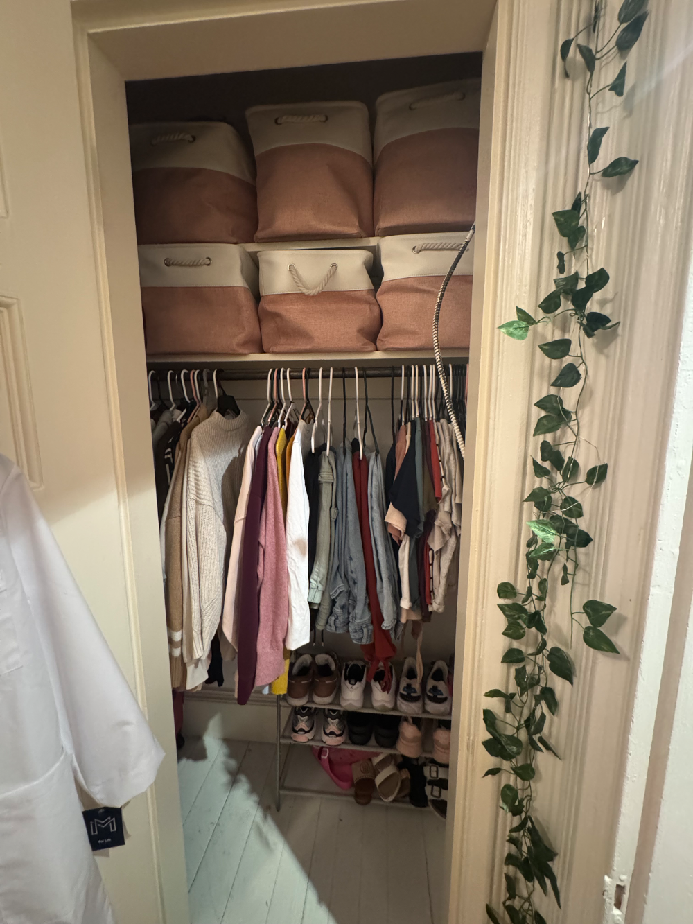 Room for rent in Backbay - Image 5