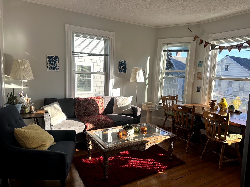 Spacious Single Bedroom Summer Sublet 2026, Fully Furnished with Attached Porch - Main