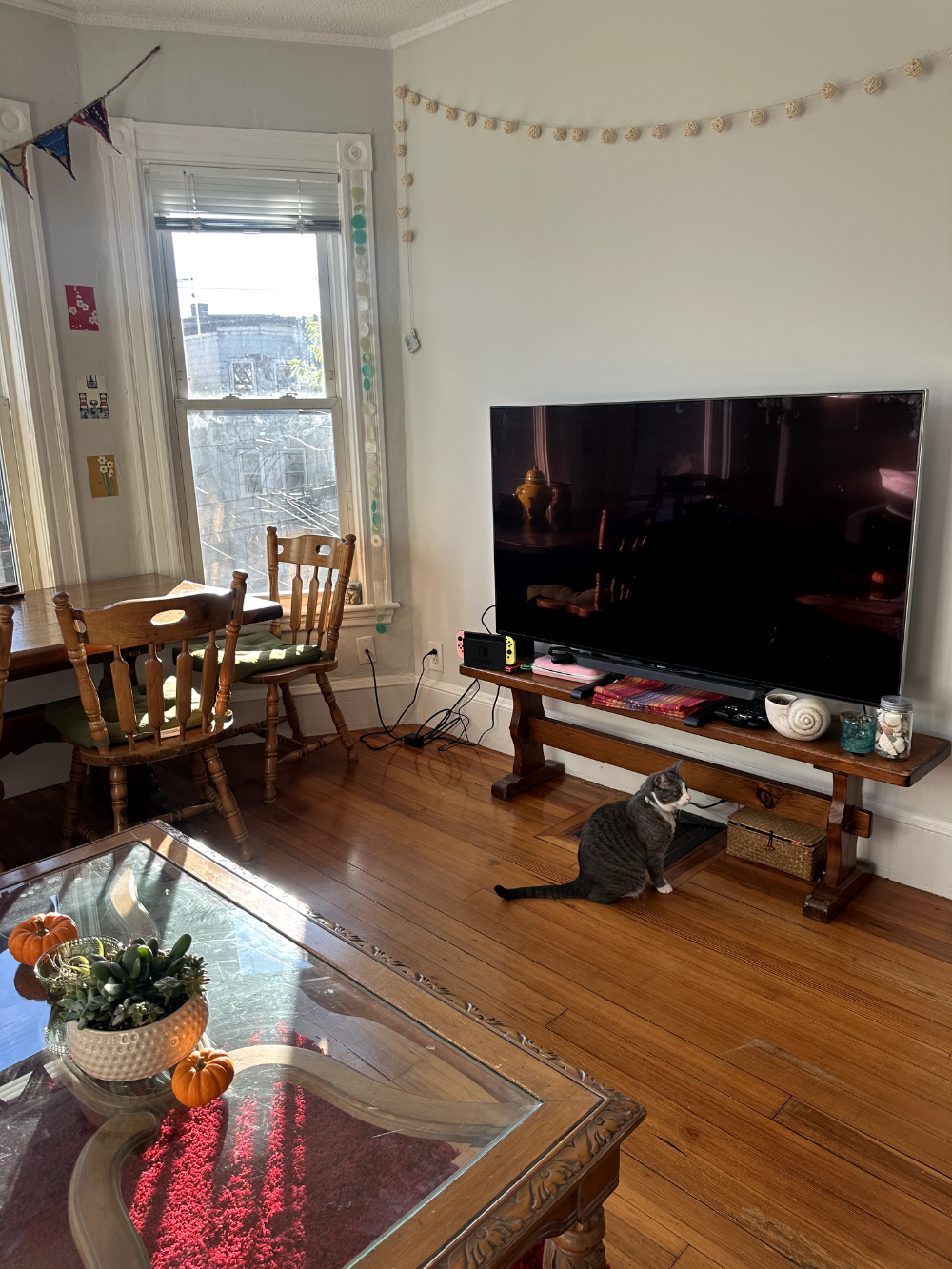 Spacious Single Bedroom Summer Sublet 2026, Fully Furnished with Attached Porch - Image 2