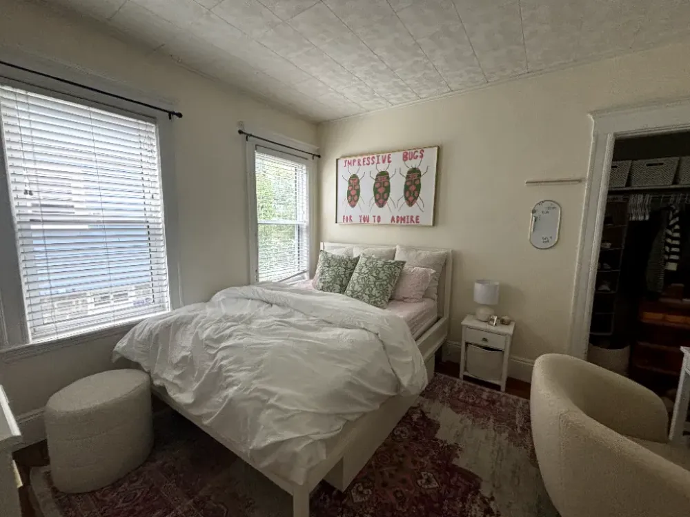 Spacious Bedroom Near Tufts University  - Main