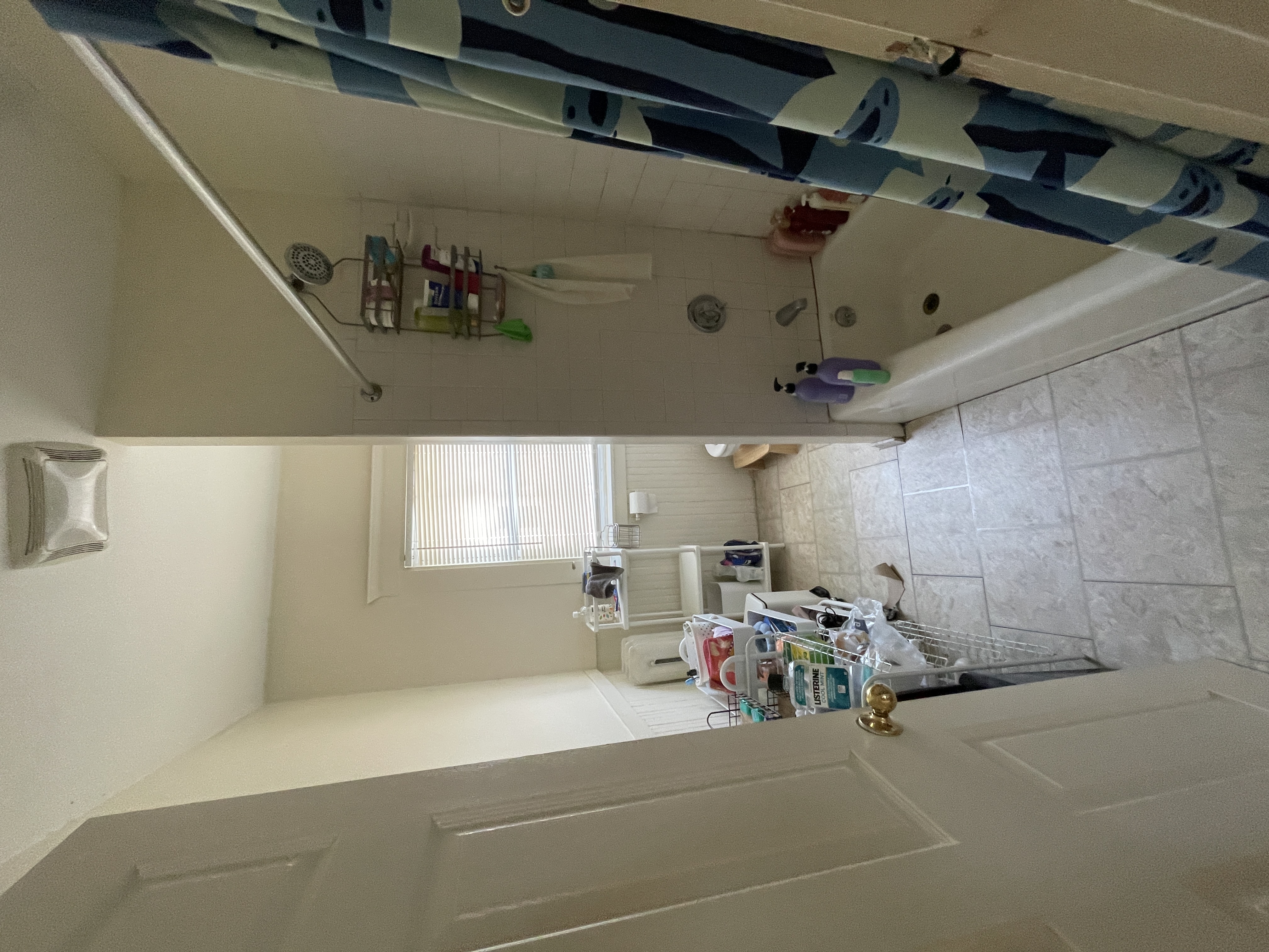 4 bedroom near campus - Thumbnail 4