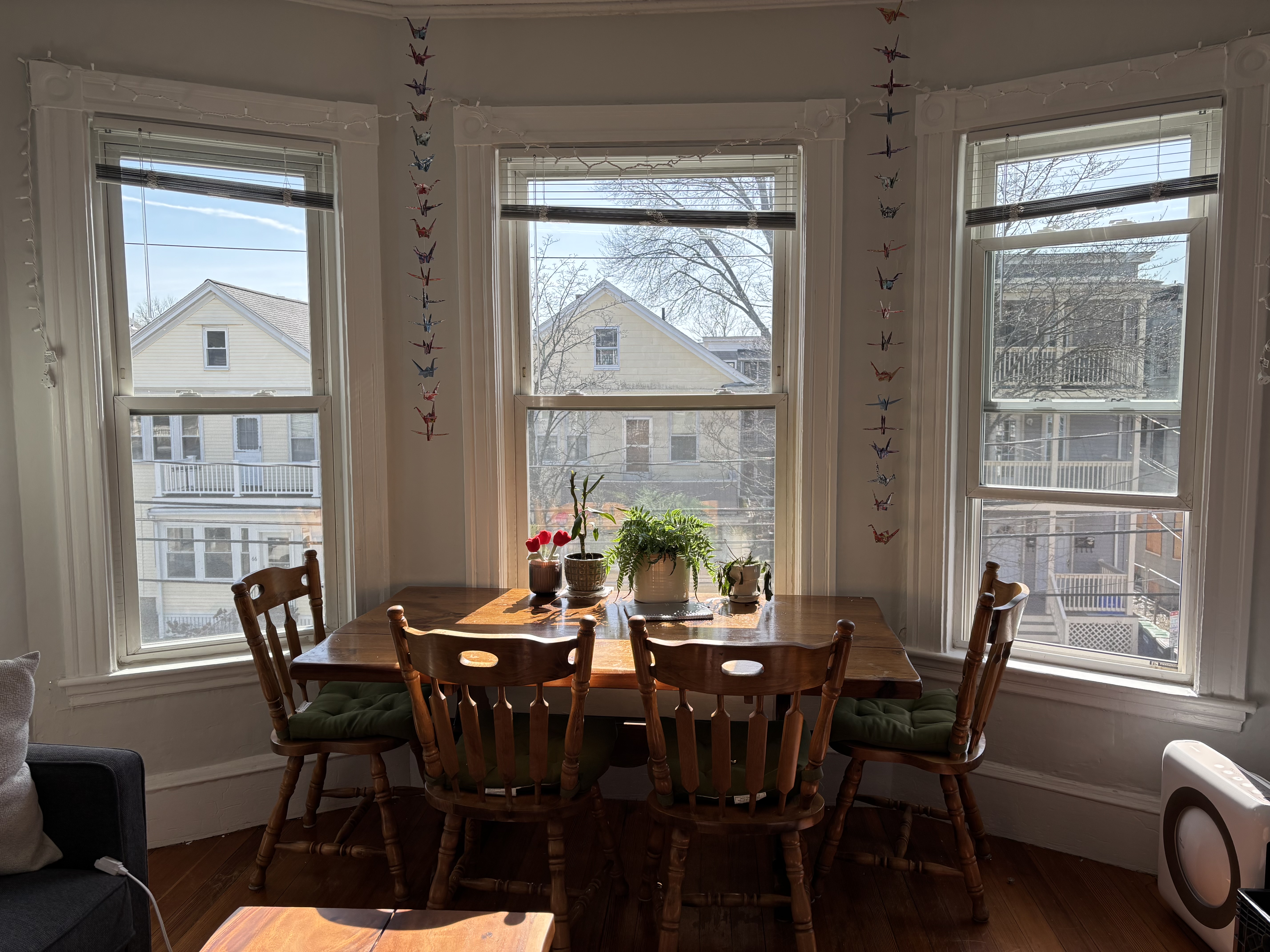 69 Raymond Ave. Spring/Summer 2026 Sublet, Single Bedroom, Fully Furnished, Great Natural Lighting - Thumbnail 7