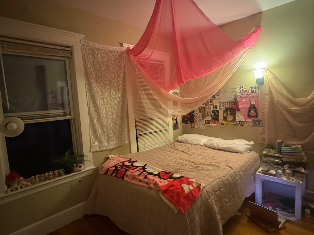 $800/month. Spring 2026 sublet needed! - Image 1